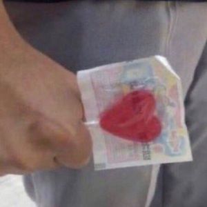 Meet your Posher, Marley